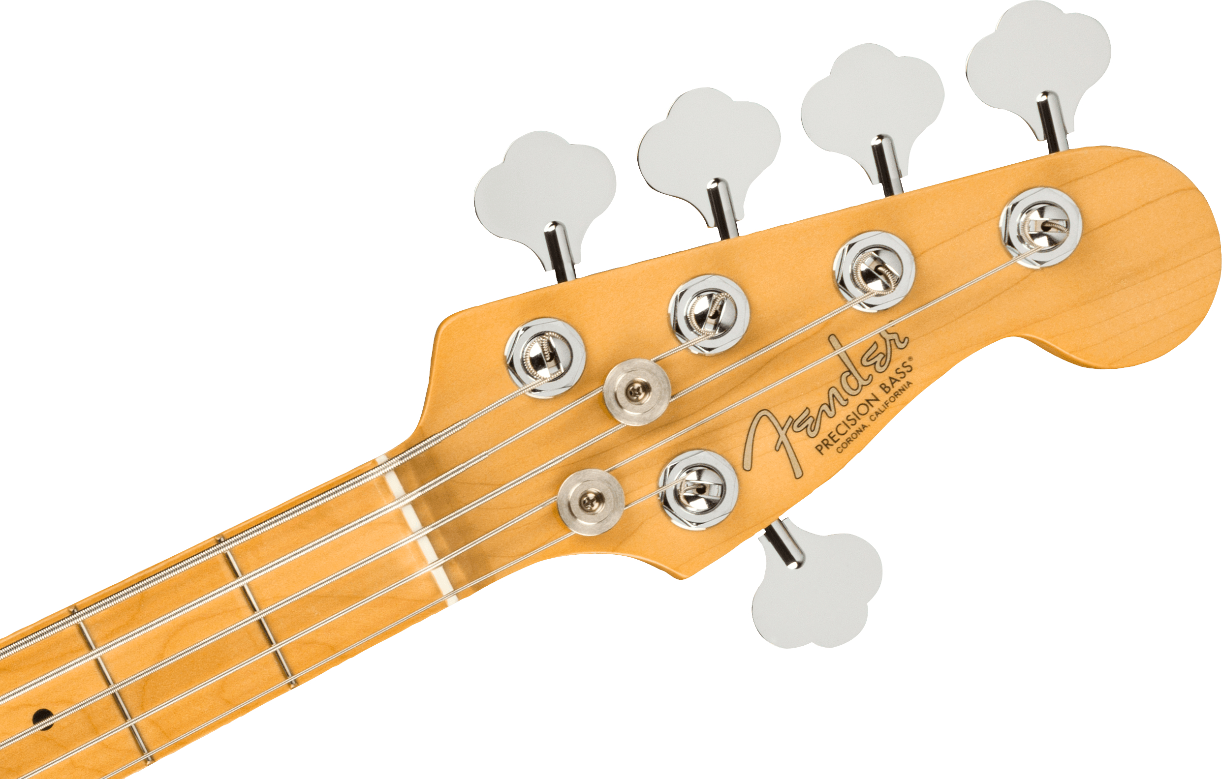 fender-american-professional-ii-precision-bass-v-dark-night_67efc863e16e1.jpg