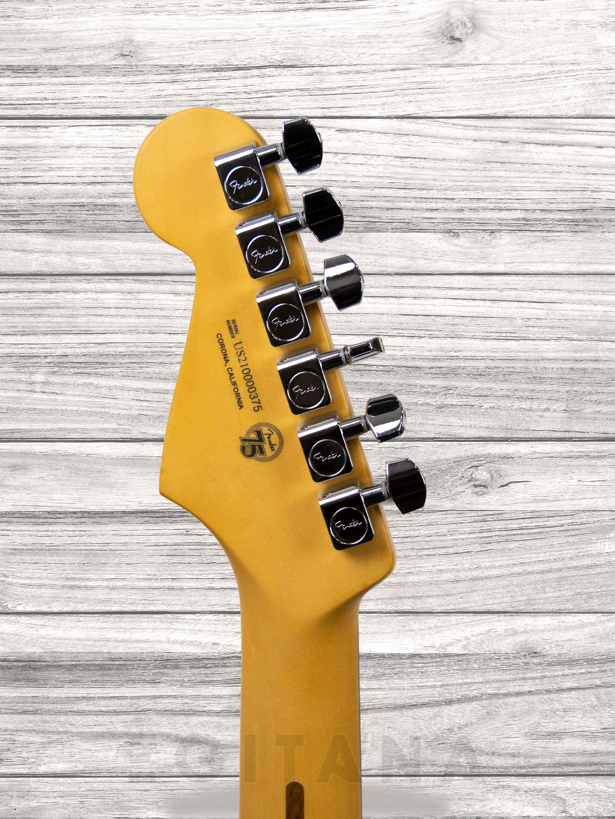 fender-american-professional-ii-strat-rw-dark-night_603e7bf740339.jpg