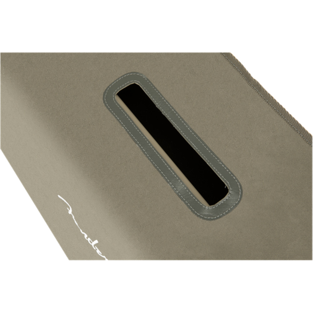 fender-ampcover-acoustic-100_5d9b2060b8643.jpg