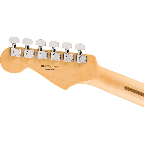 fender-anniv-player-strat-pf-2ts_65c0aabd9ba3b.jpg