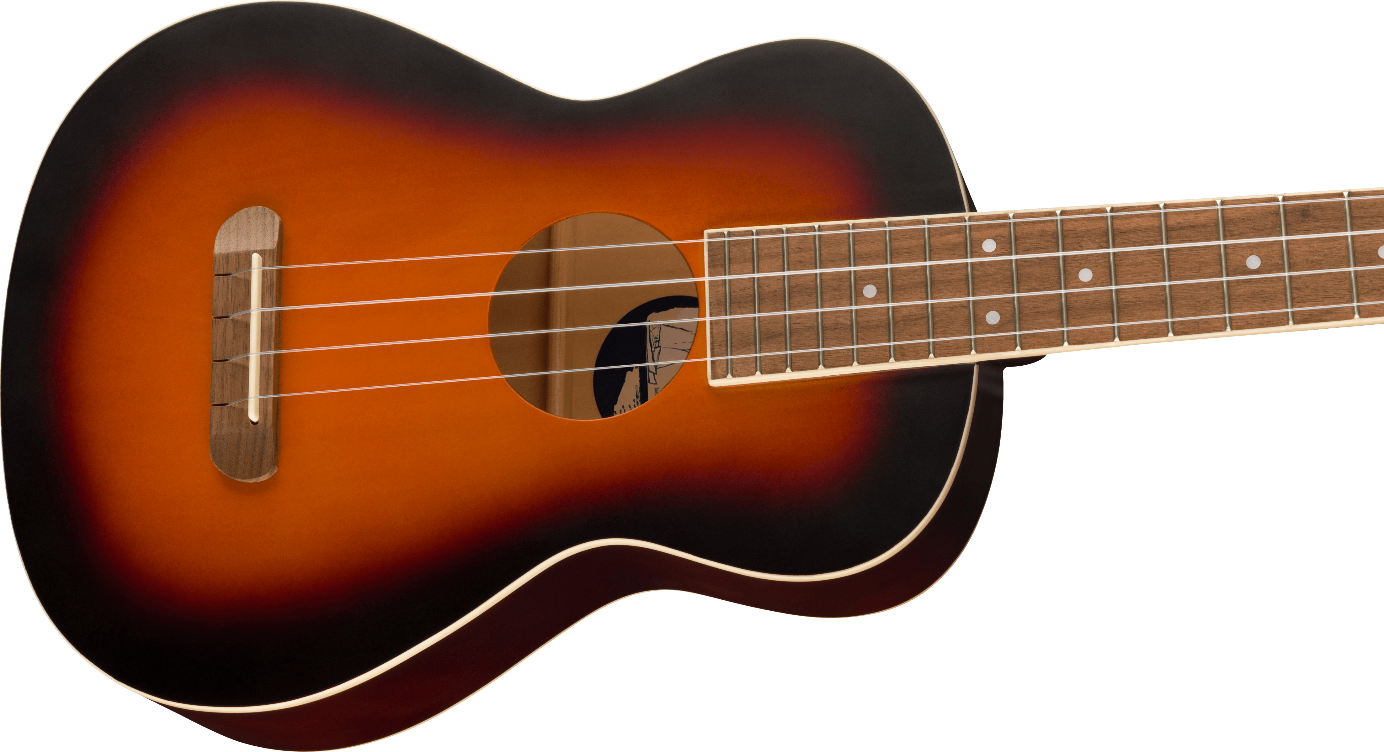 fender-avalon-tenor-ukulele-2ts_62b1ebd6db279.jpg