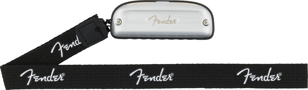 fender-blues-junior-diatonic-8h-a_67d993f4f0f53.jpg