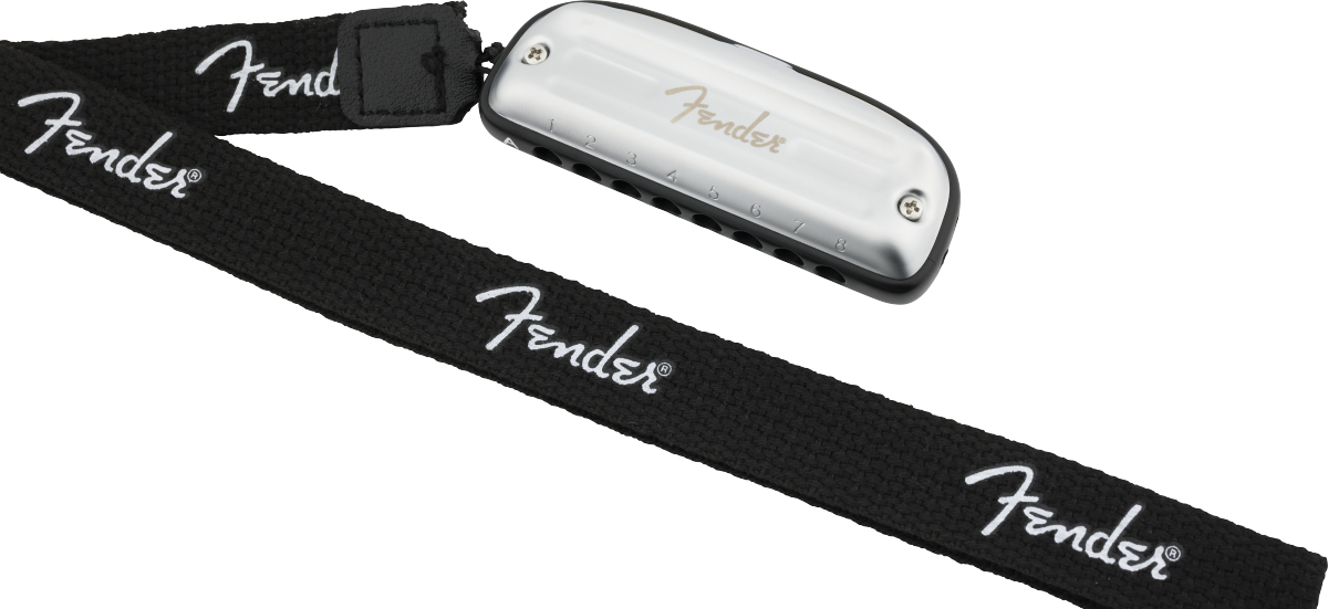 fender-blues-junior-diatonic-8h-c-fender_67d98c623144c.jpg