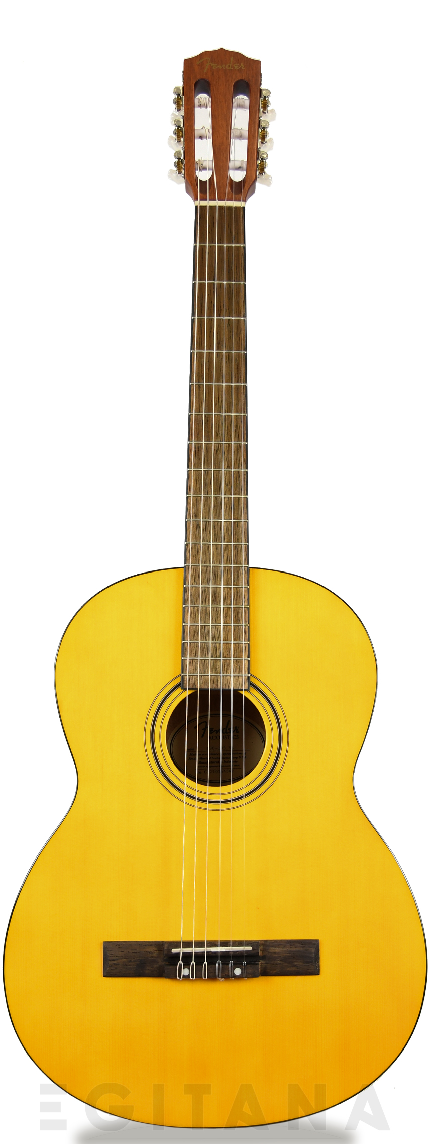 fender-esc105-educational-series_60ec685ea75ac.jpg