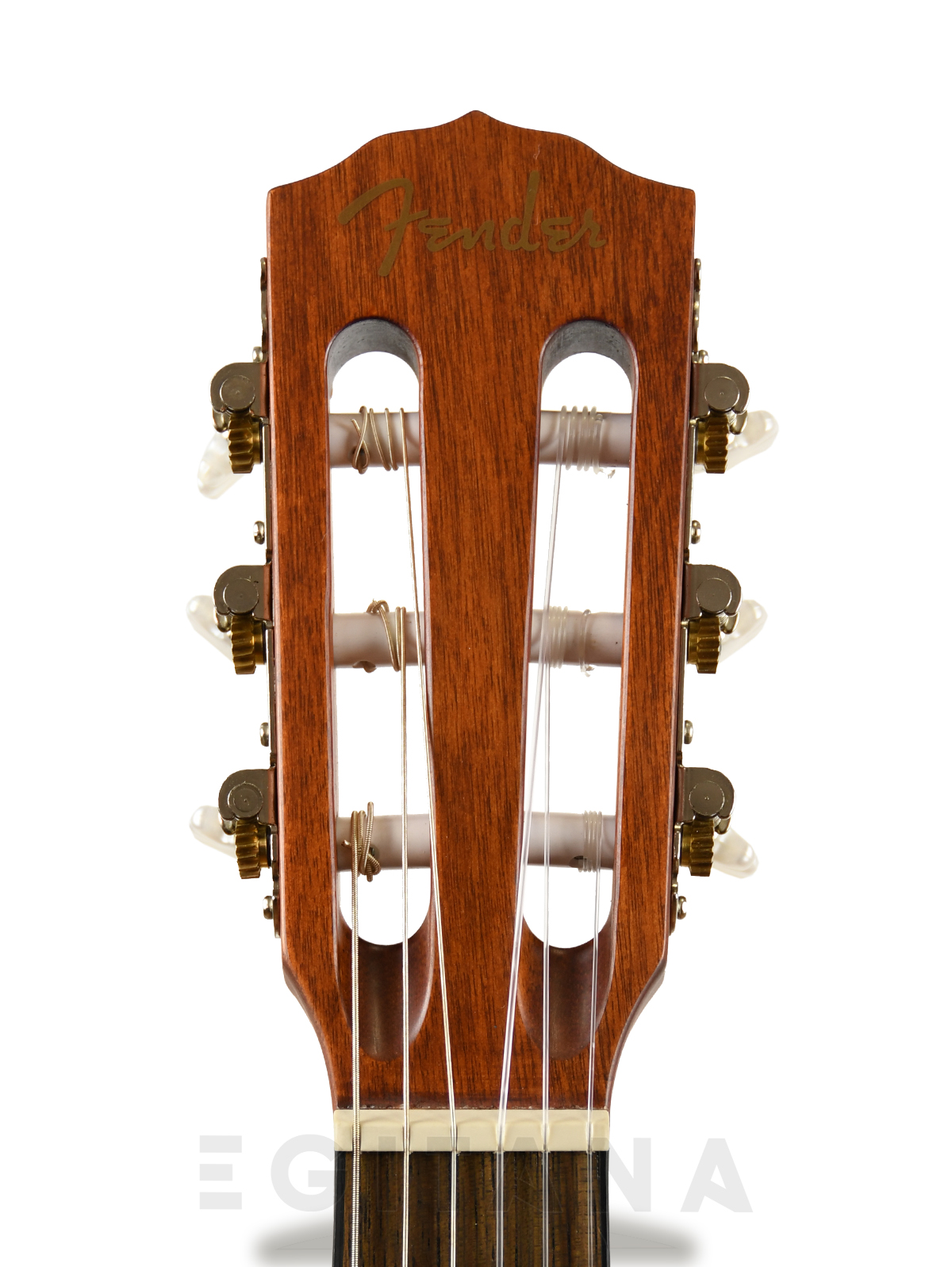 fender-esc105-educational-series_60ec68621fbfe.jpg
