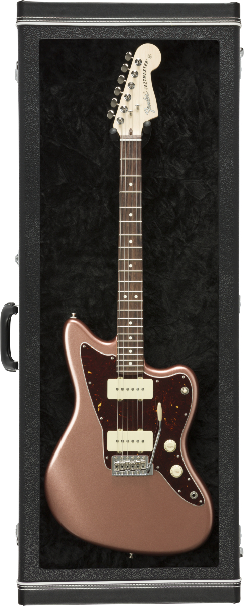 fender-guitar-display-case-bk_67404a82e9ac3.jpg