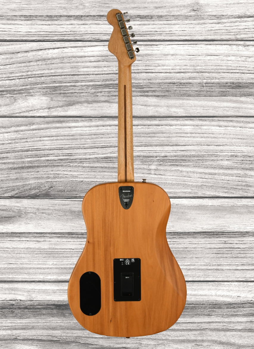 fender-highway-series-dreadnought-rosewood-fingerboard-all-mahogany_65c6484fd2555.jpg
