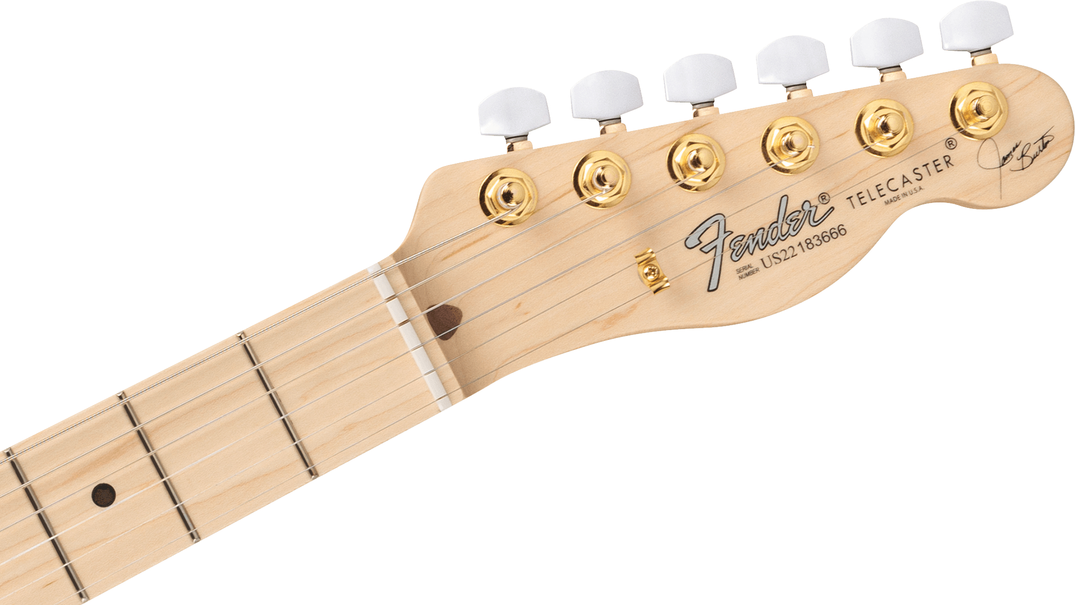 fender-james-burton-maple-fingerboard-red-paisley-flames_6821ff86d4cfd.jpg