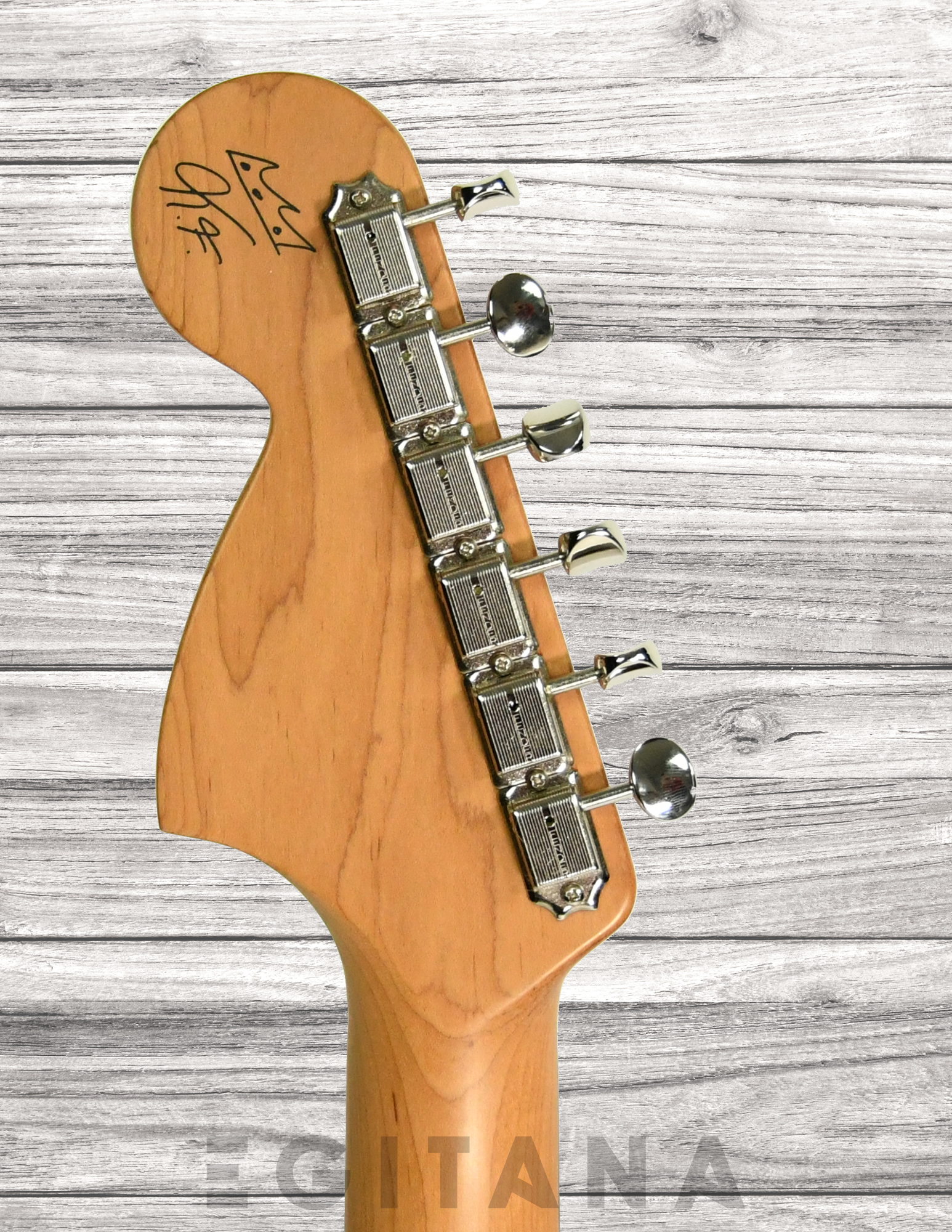 fender-kingfish-tele-deluxe_63298cc976569.jpg