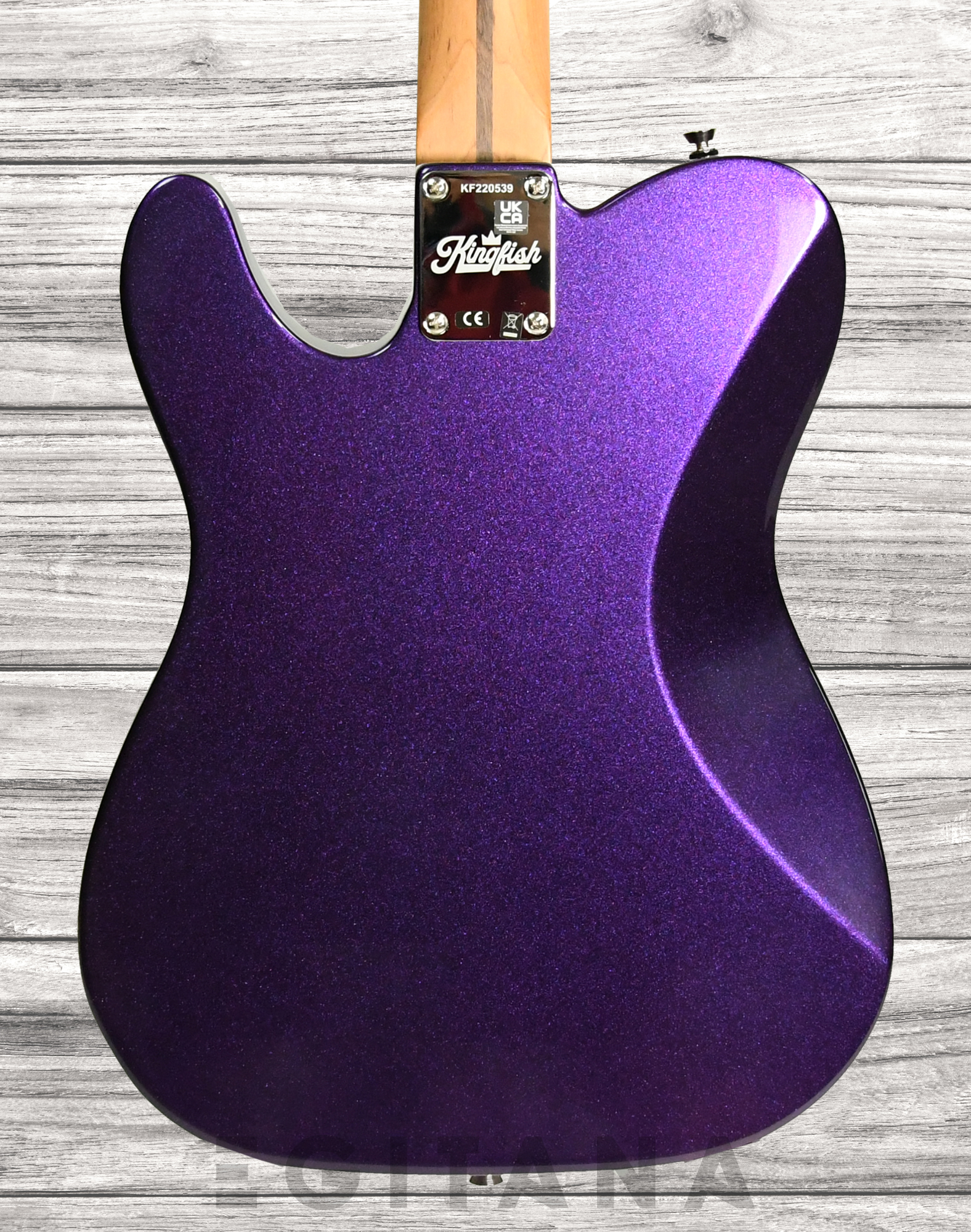 fender-kingfish-tele-deluxe_63298ccba3a9b.jpg