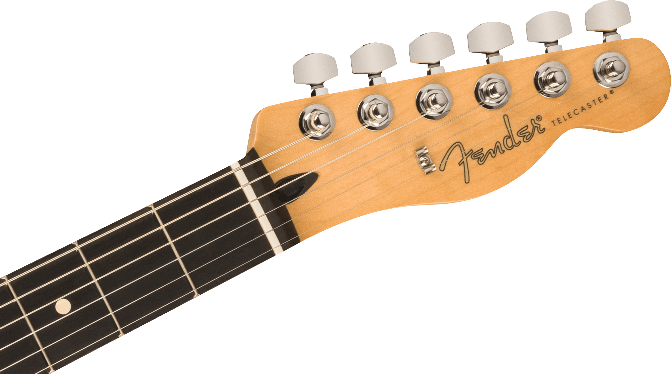 fender-limited-edition-player-ebony-fingerboard-oxblood_65b7e5b6d43e6.jpg