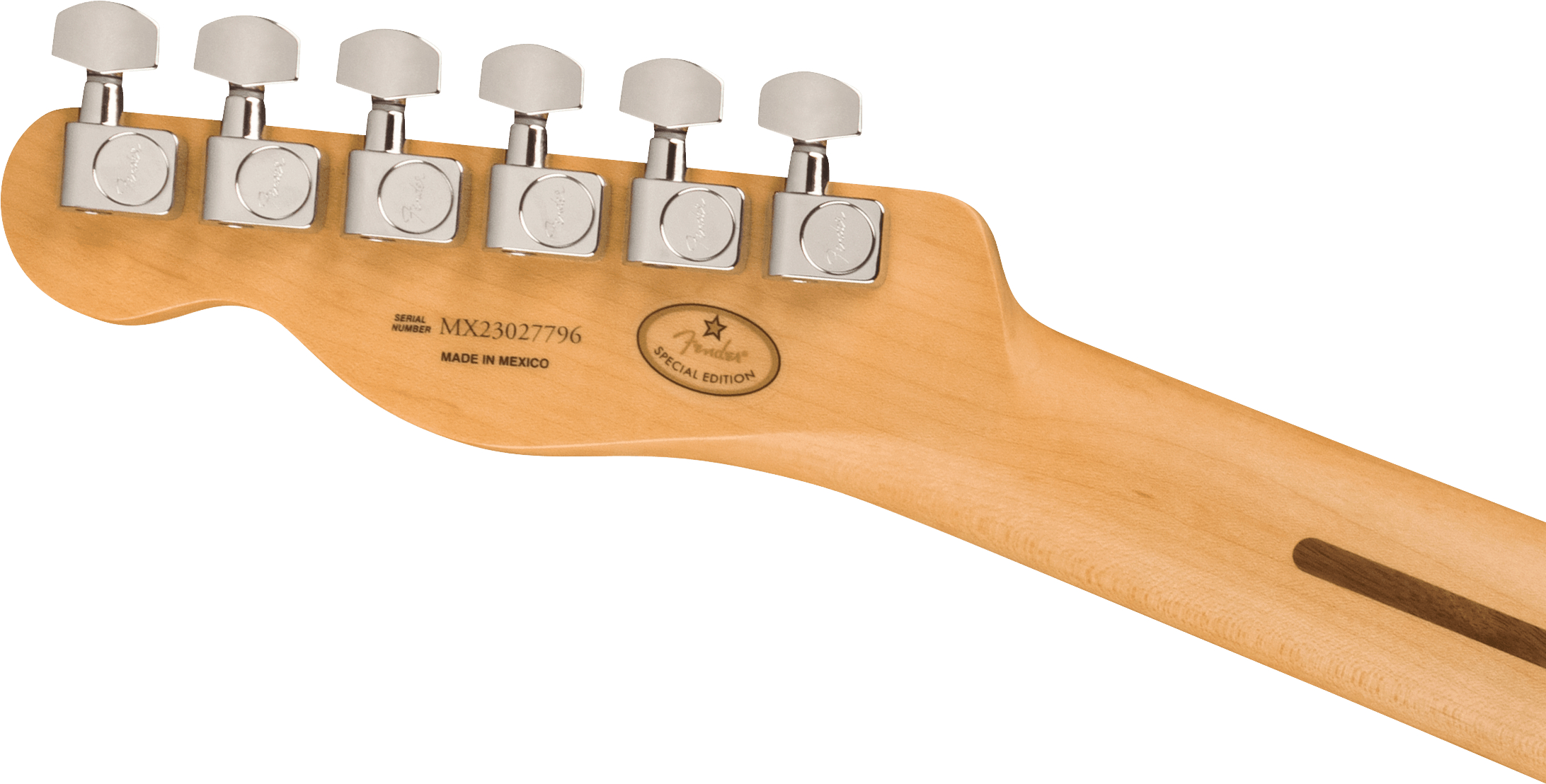 fender-limited-edition-player-ebony-fingerboard-oxblood_65b7e5bb537e5.jpg