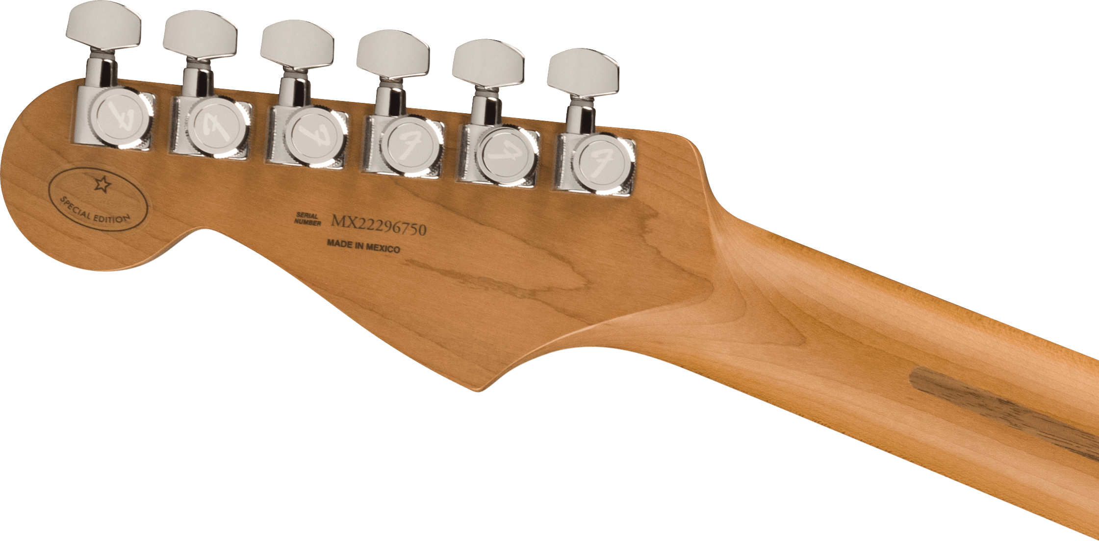 fender-limited-edition-player-plus-hss-roasted-maple-fingerboard-black_65a8fad4b74da.jpg