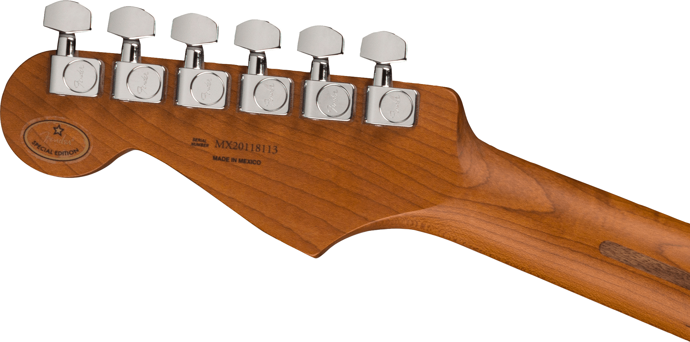 fender-limited-edition-player-roasted-maple-fingerboard-2-color-sunburst_65c50d714213b.jpg