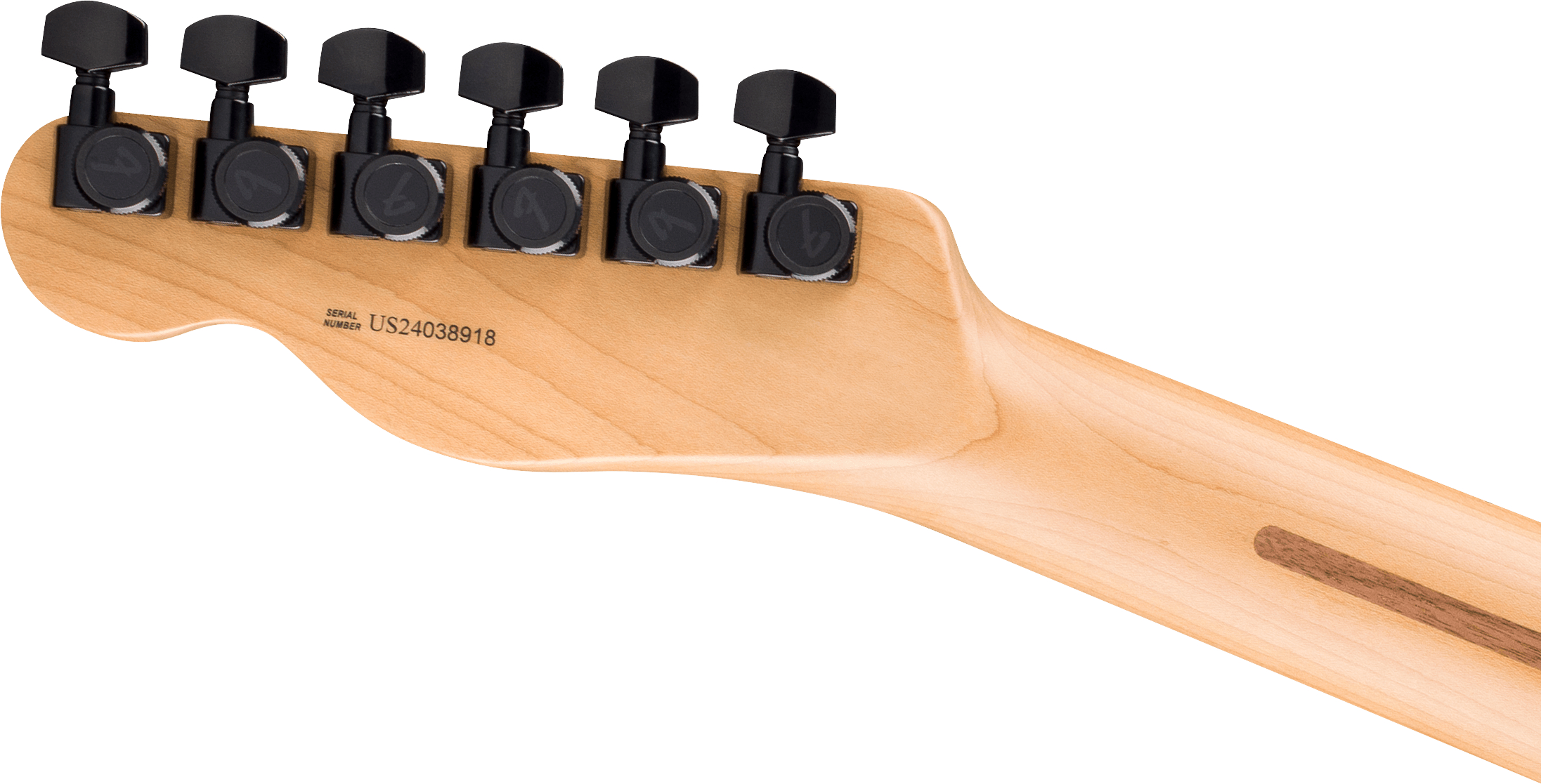 fender-ltd-am-pro-ii-tele-hh-agn_67d04663e2174.jpg