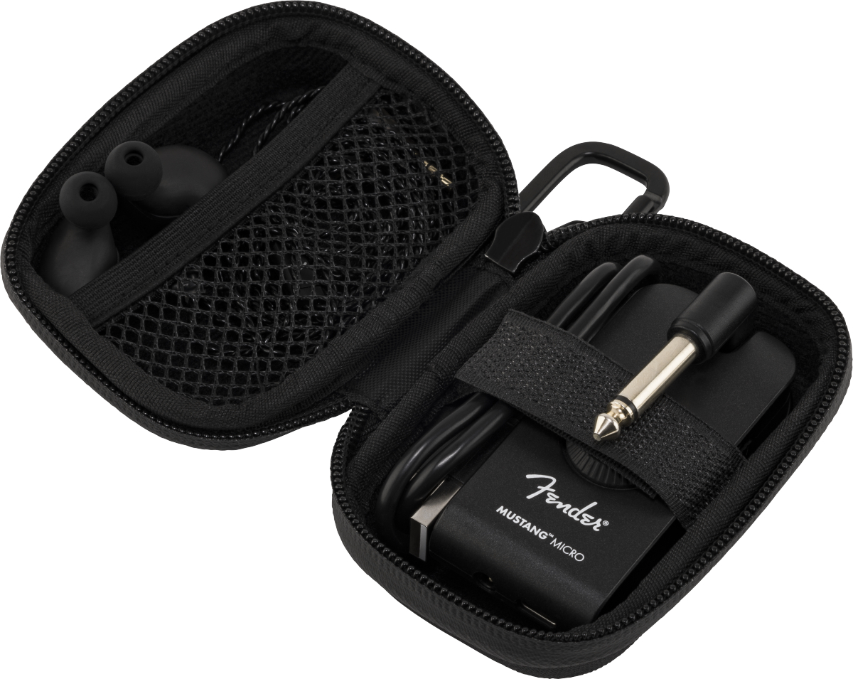 fender-mustang-micro-case_63cac16a7b0e0.jpg