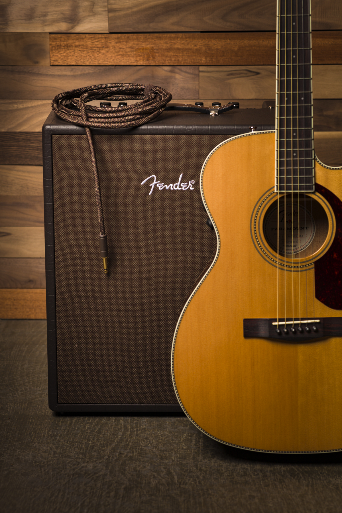 fender-paramount-acoustic-cable-cabo-jack-63mm_62ebe5994a3ce.jpg