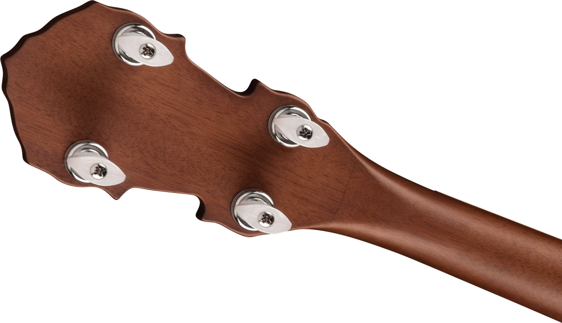 fender-pb-180e-banjo_6347d248a1907.jpg