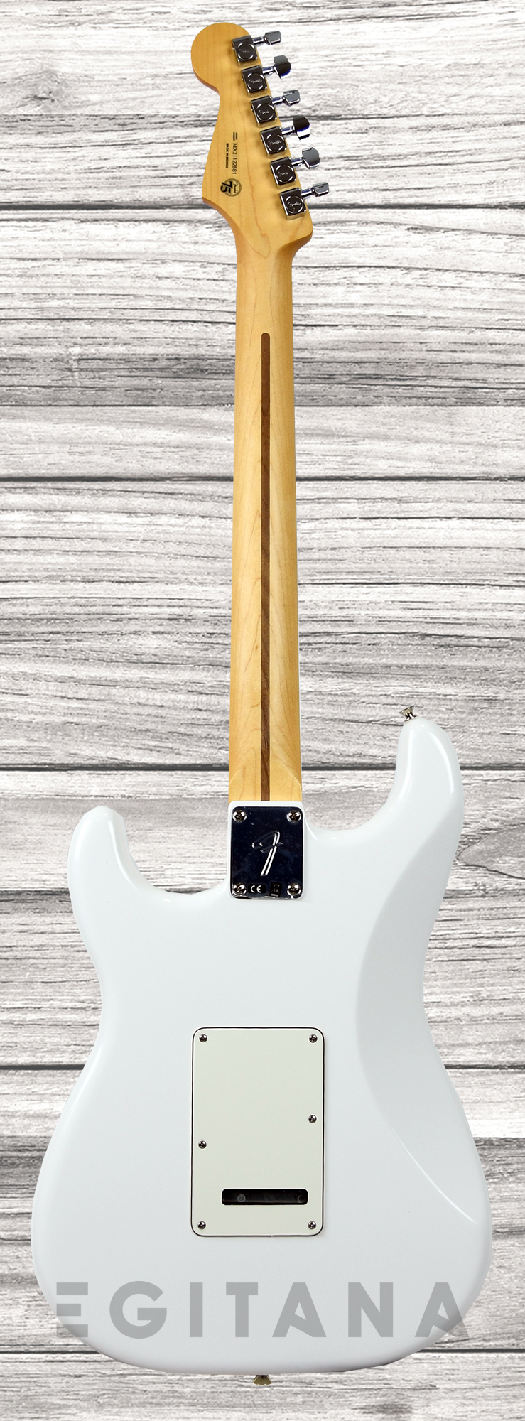 fender-player-series-strat-hss-pf-pwt_611cd18385386.jpg