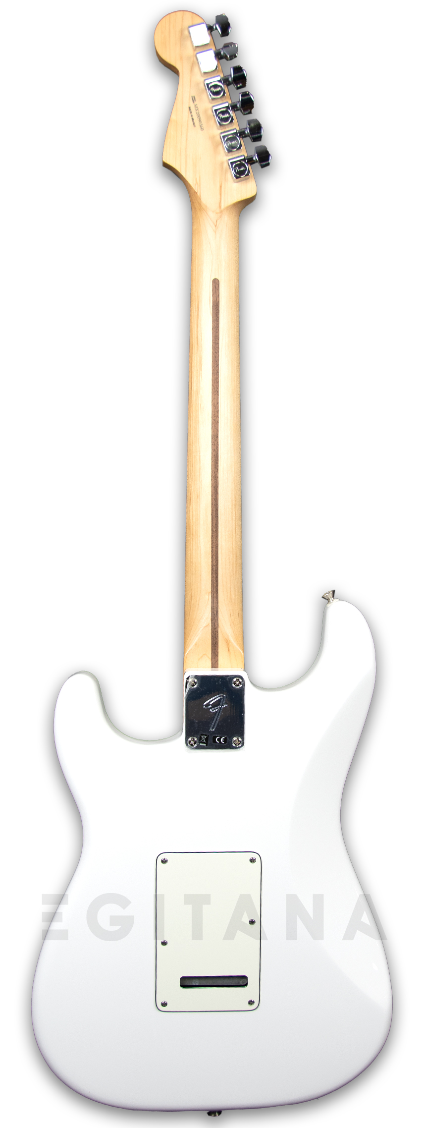 fender-player-series-strat-pf-pwt_5f9bf67c91d10.jpg