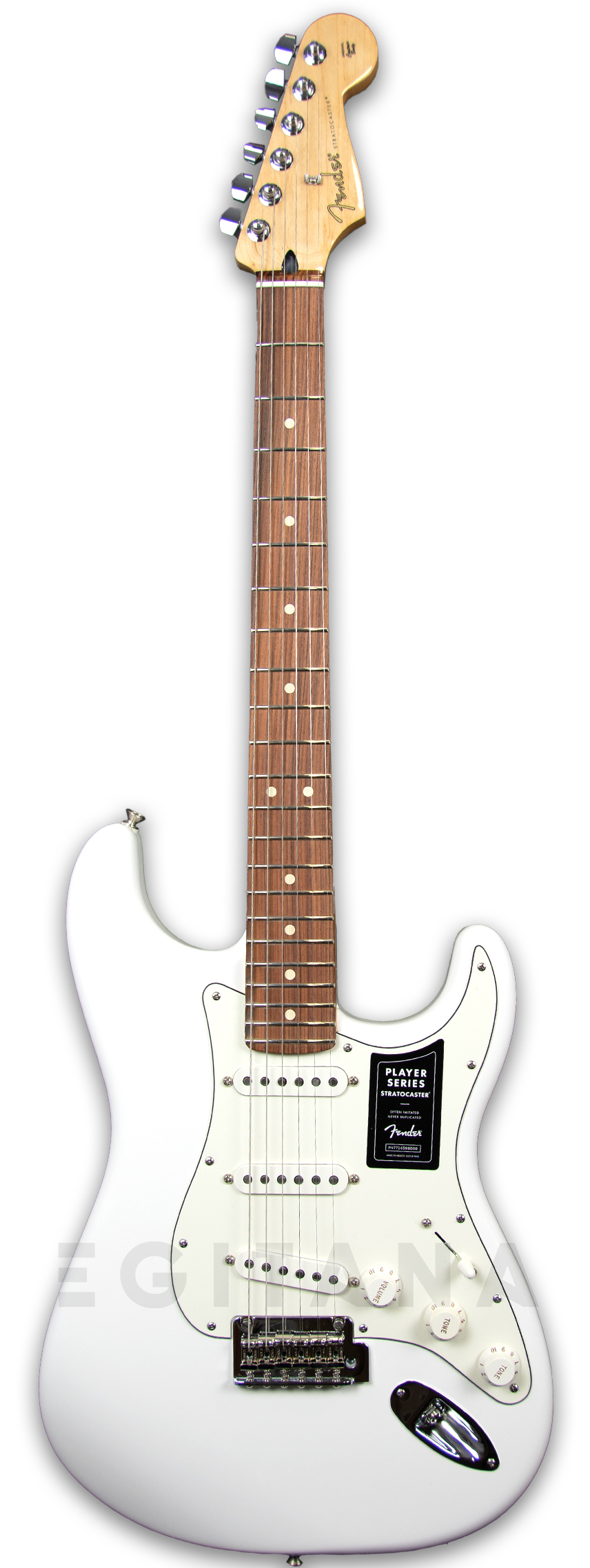 fender-player-series-strat-pf-pwt_5f9bf67d96d95.jpg