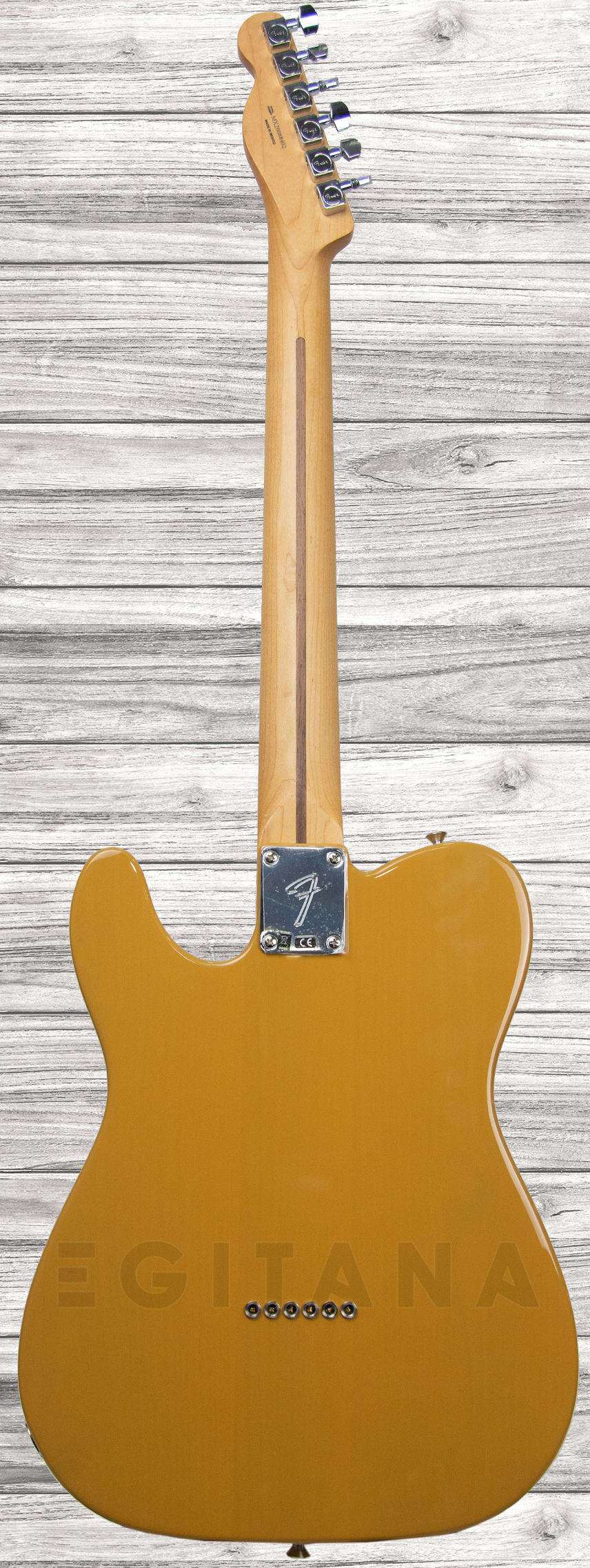fender-player-series-tele-mn-btb_6093b81e76c92.jpg