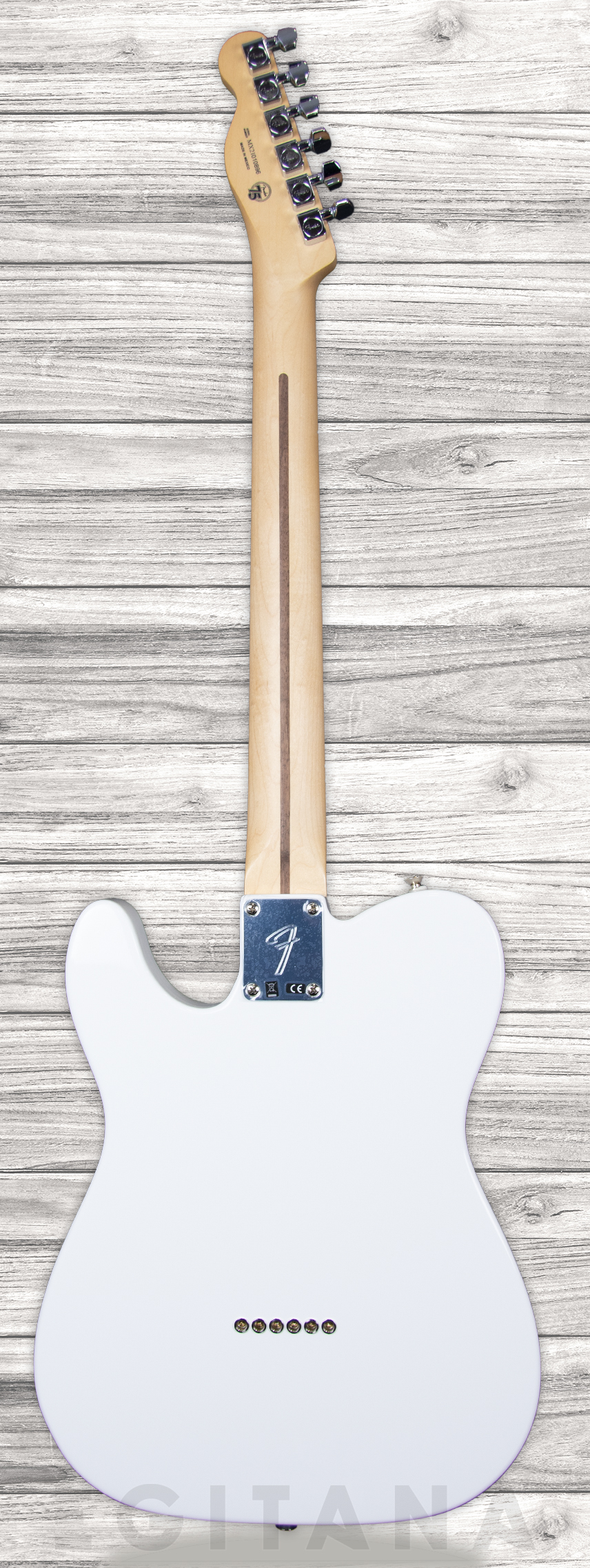 fender-player-series-tele-mn-pwt_6093c041e2473.jpg