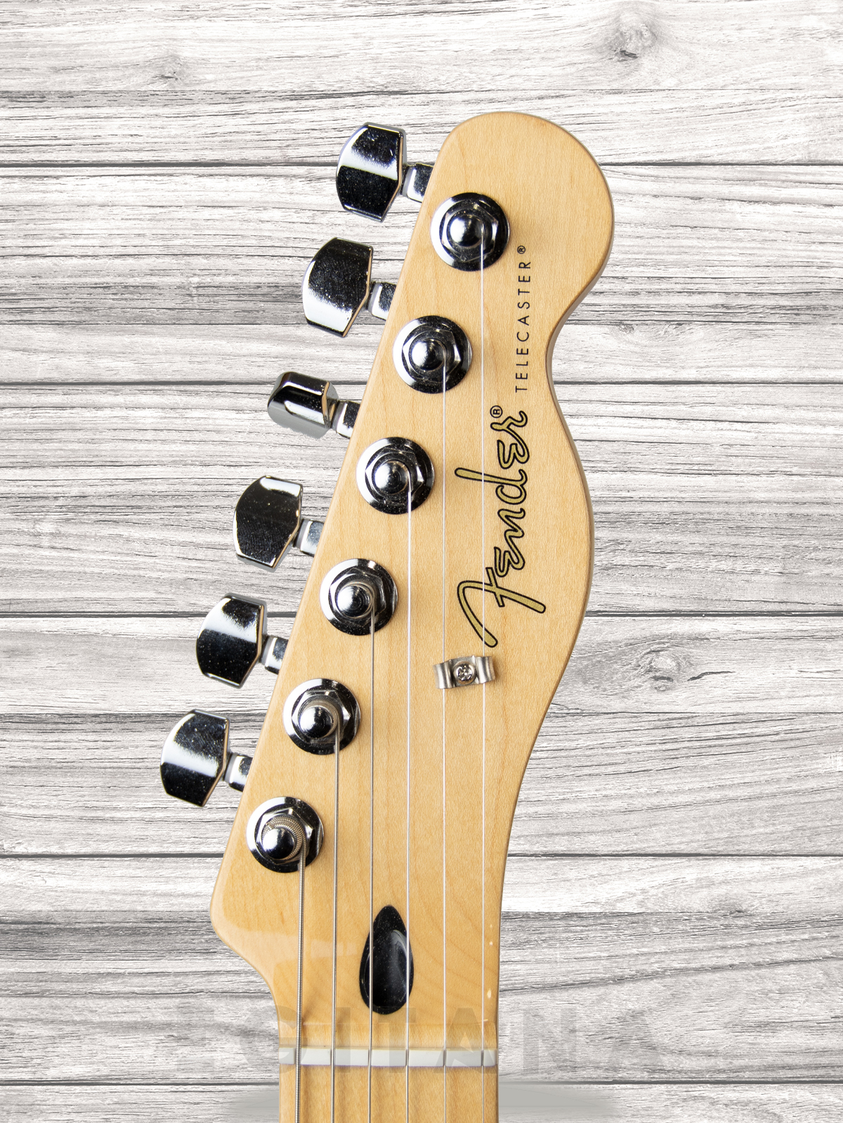 fender-player-tele-hh-mn-tpl_6093b19a47fc1.jpg