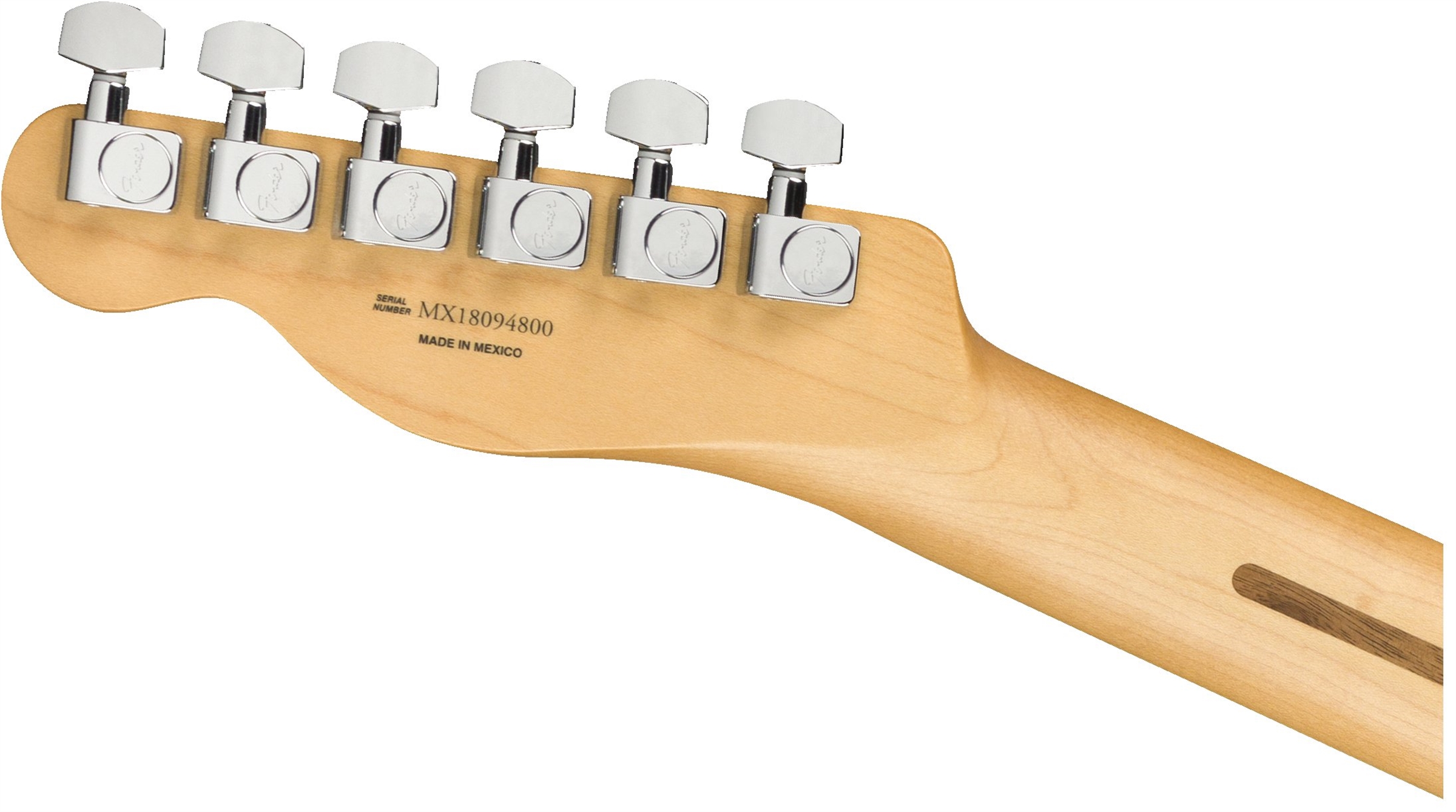 fender-player-telecaster-tidepool_5f68d4cb48b48.jpg