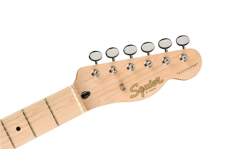 fender-squier-telecaster-paranormal-cabronita-thinline-lake-placid-blue_615492668f6be.jpg