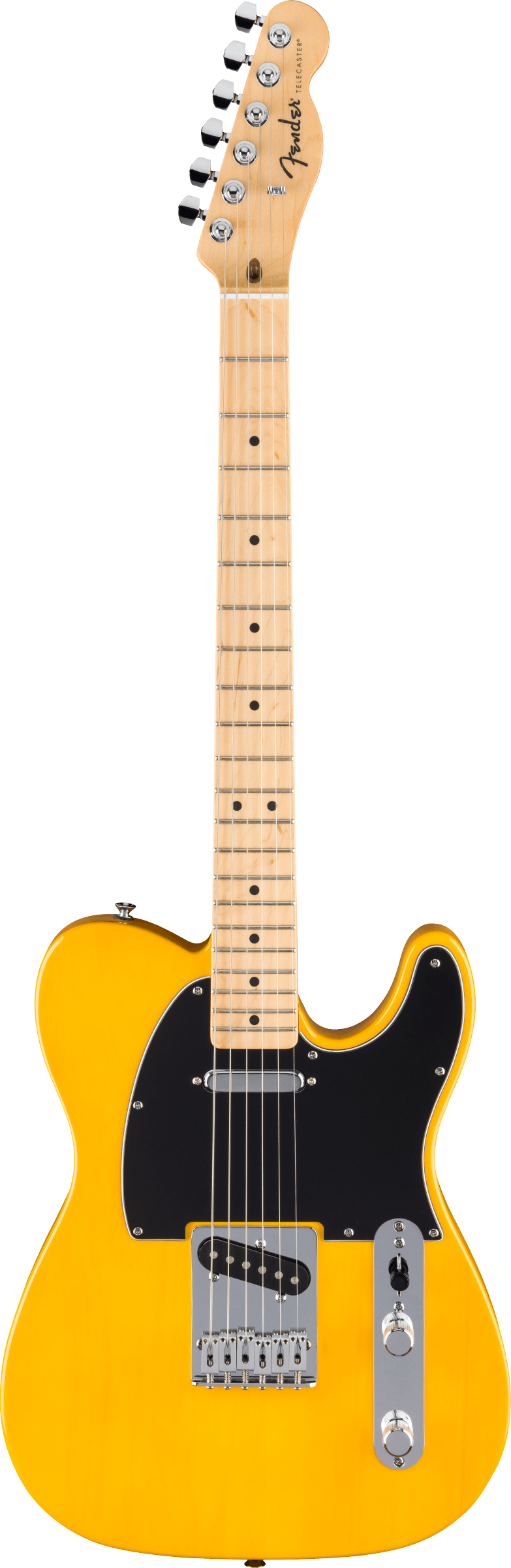 fender-std-tele-mn-bpg-btb_67926eeac97a4.jpg