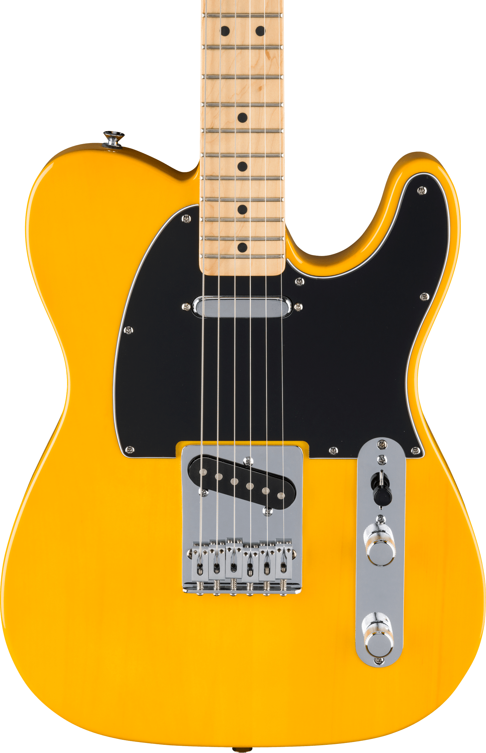 fender-std-tele-mn-bpg-btb_67926eee2e3cf.jpg