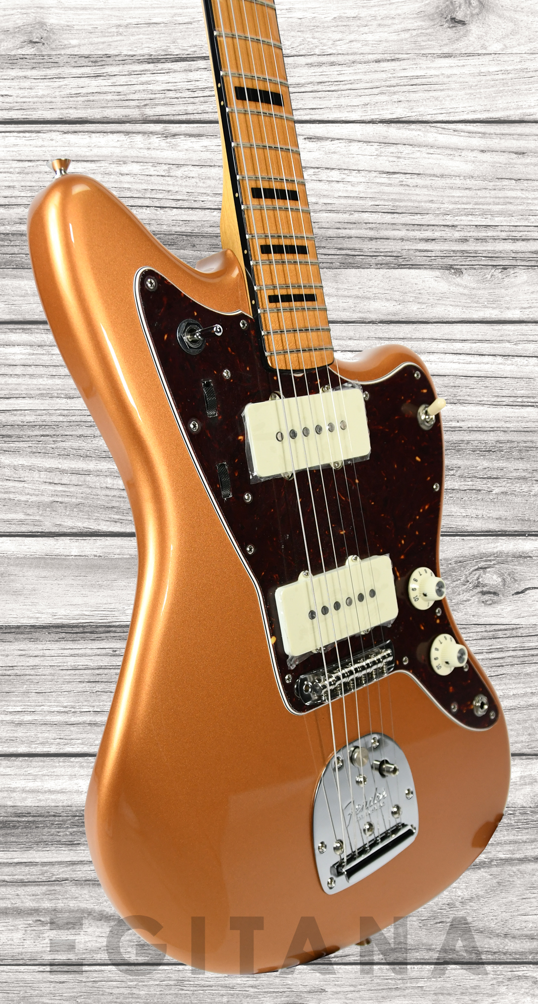 fender-troy-v-leeuwen-jazzmaster-mn_637ce33744e80.jpg