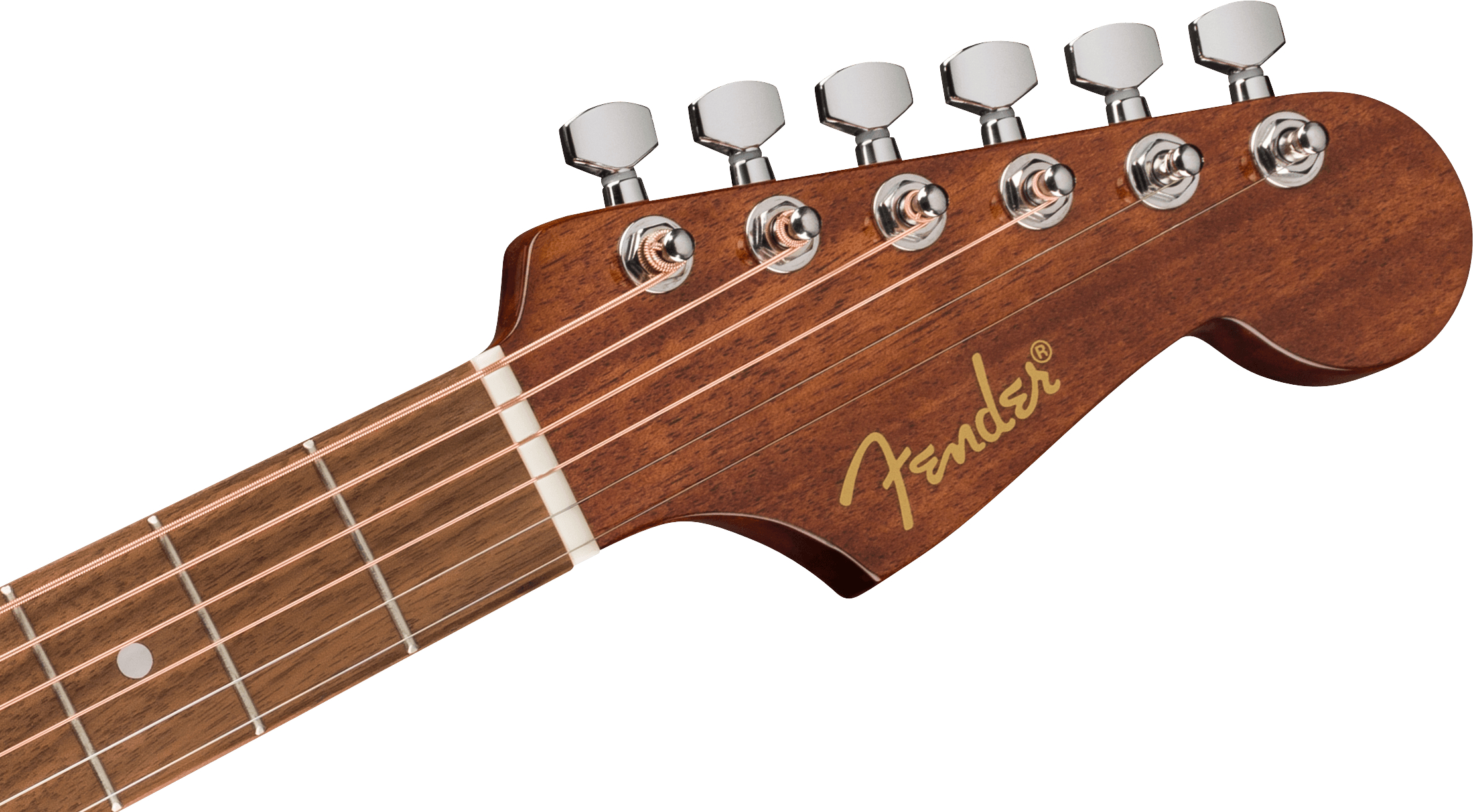 fender_68b6b97228c04.jpg
