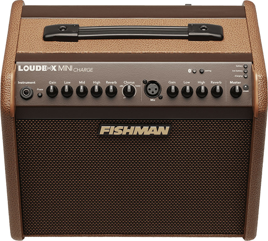 fishman-loudbox-mini-charge-60w-bluetooth_63d1606044dee.jpg