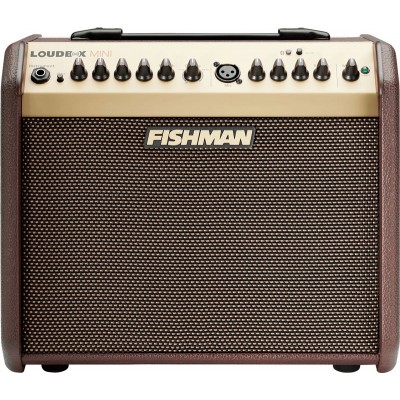 fishman-loudbox-mini-with-bluetooth-2-channel-60-watt-1x65_63d16467bd396.jpg