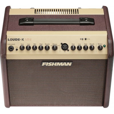 fishman-loudbox-mini-with-bluetooth-2-channel-60-watt-1x65_63d16467eb1be.jpg