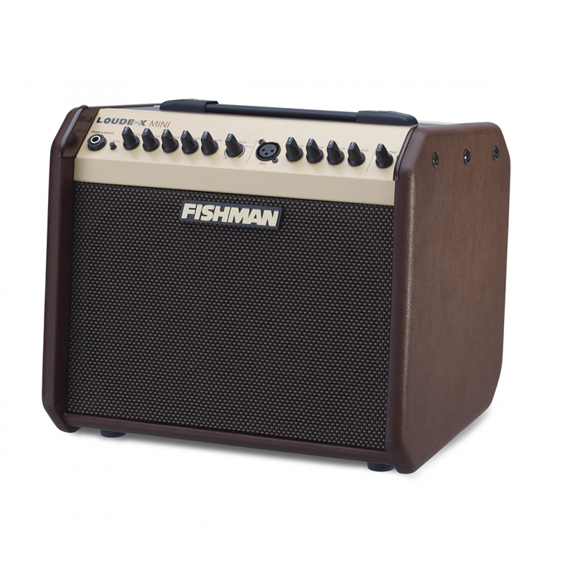 fishman-loudbox-mini_5924456e3542e.jpg