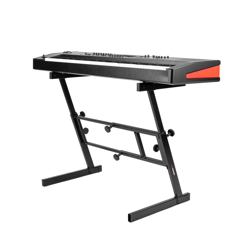 gator_691f11a8dac2c.png