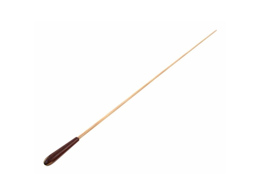 gewa-baton-912414_5c7fa4c334e60.jpg