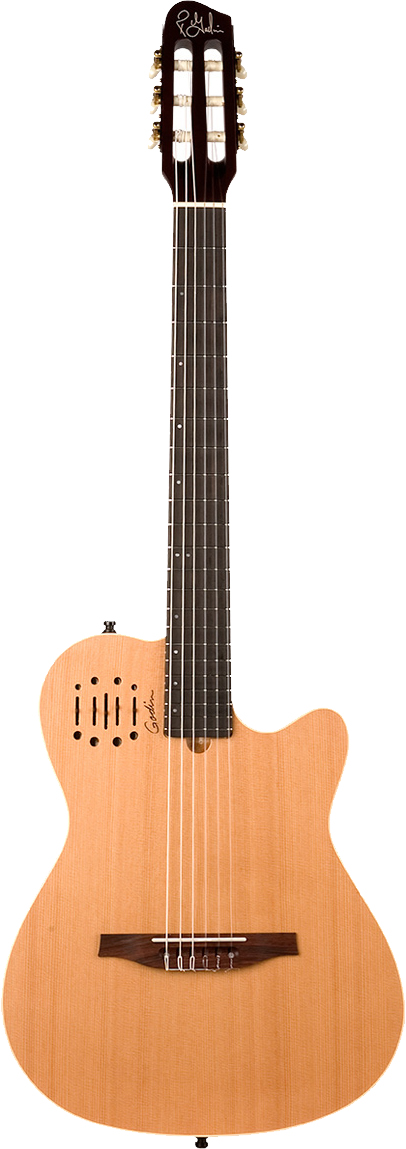 godin-multiac-encore_5ba8b0540a737.jpg