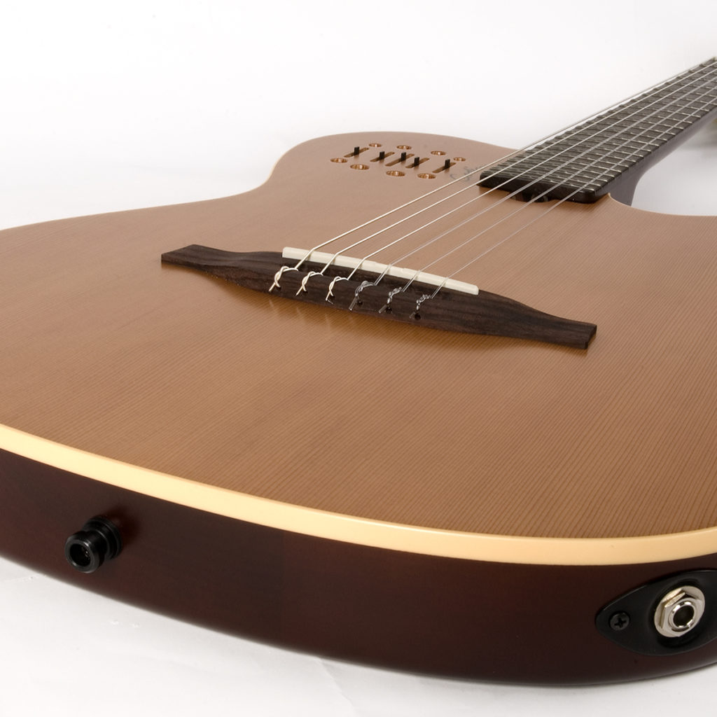godin-multiac-encore_5ba8b0545beb9.jpg