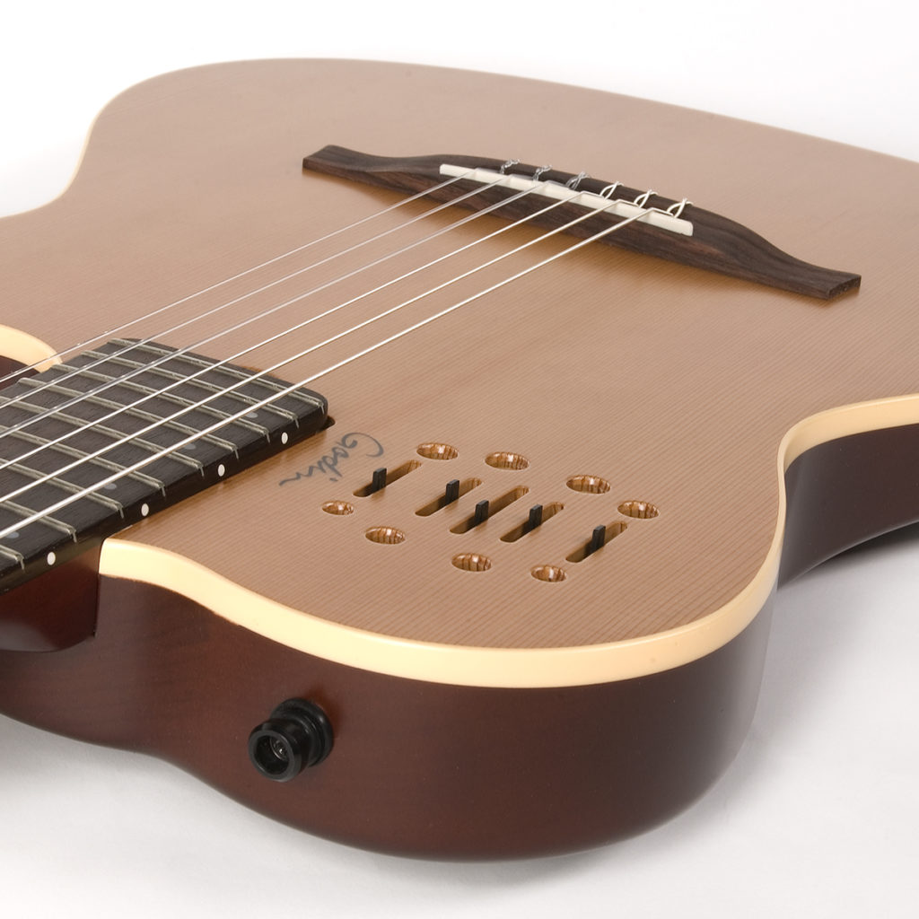 godin-multiac-encore_5ba8b05515983.jpg