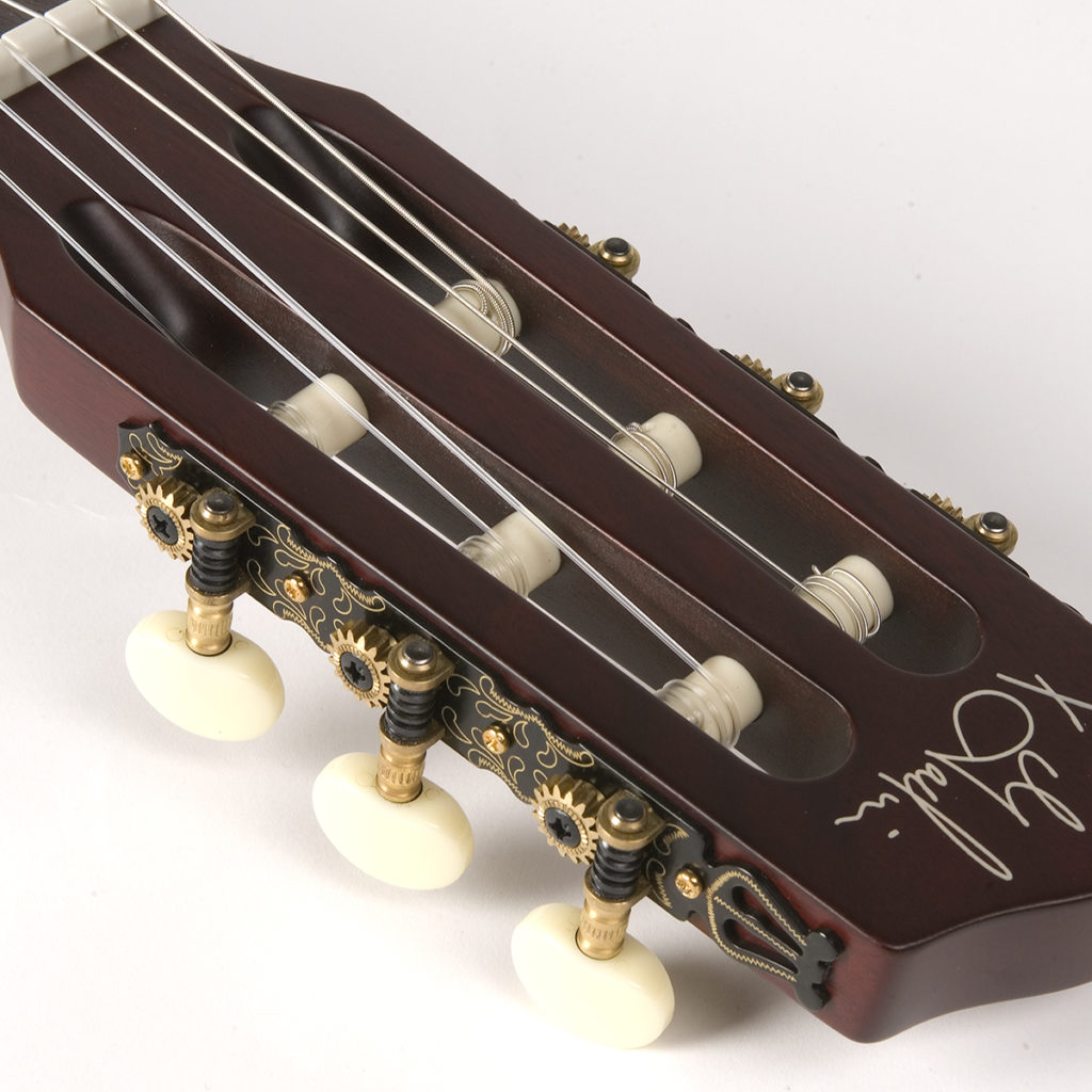 godin-multiac-encore_5ba8b05673274.jpg