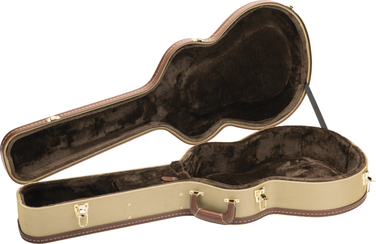 gretsch-g2420t-tweed-case_63496ae025d99.jpg