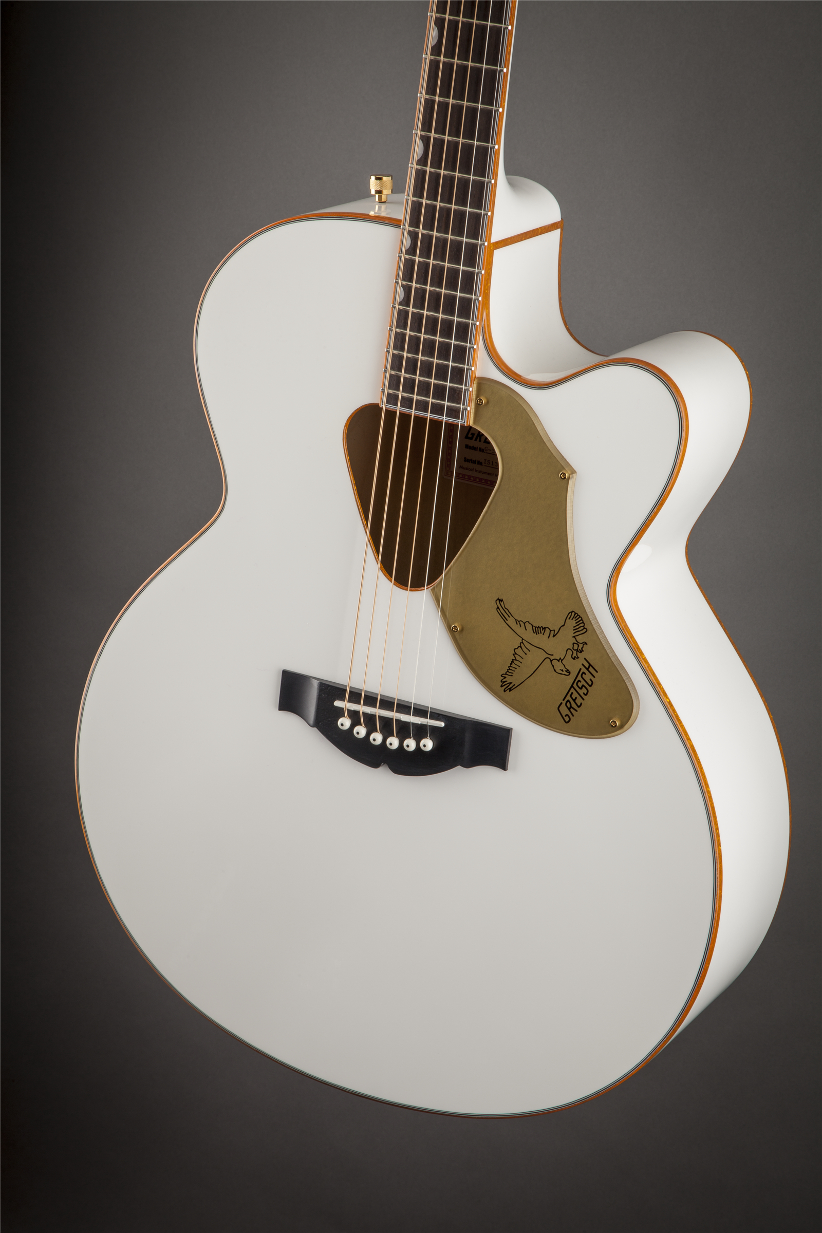 gretsch-g5022cwfe-falcon-rancher_6a199fa14ac22.jpg