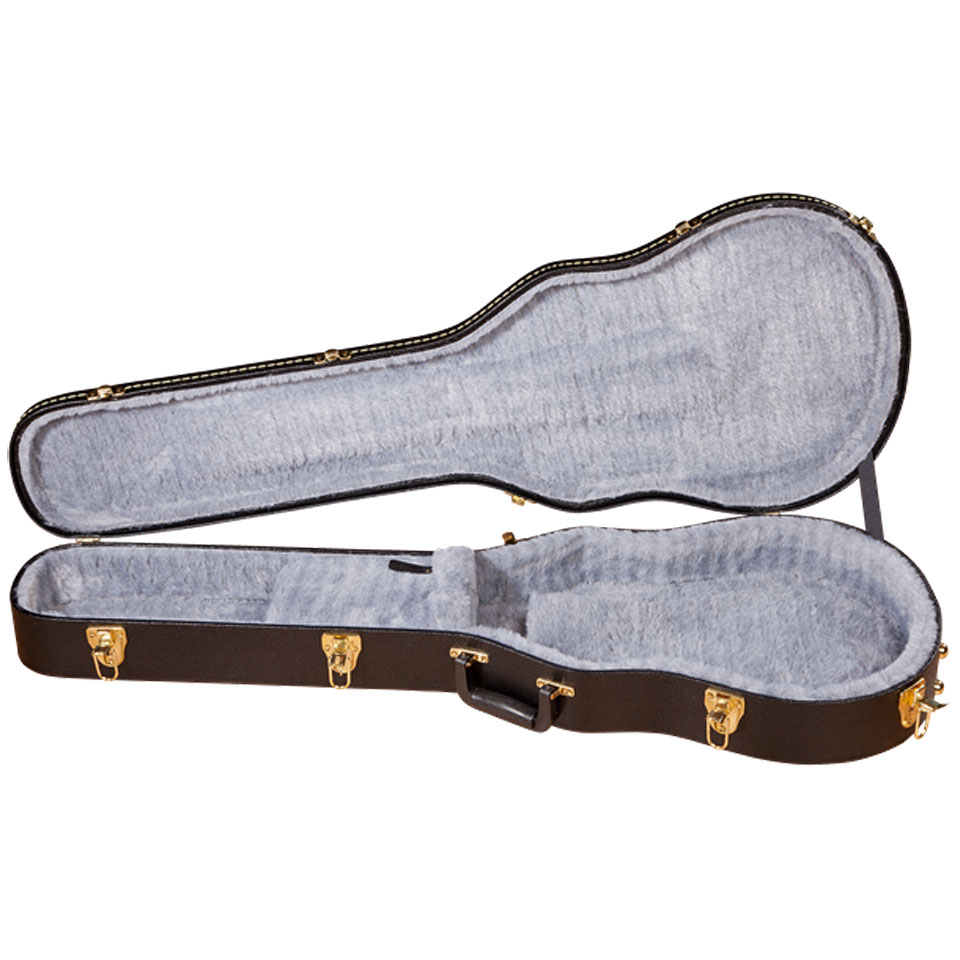gretsch-g6238ft-case_61d56d3ce3d83.jpg