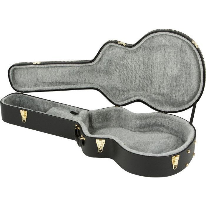 gretsch-g6241ft-case_5d4d5b1e04ed7.jpg