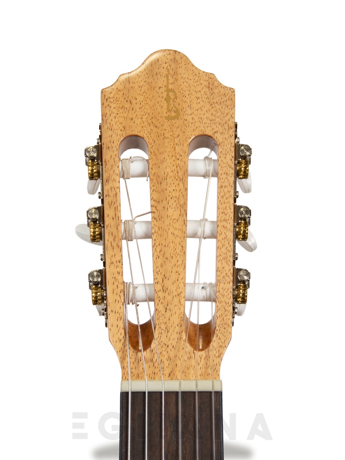 guitarra-classica-apc-1c-parte-de-cima_640b7958a884d.jpg