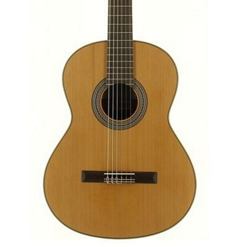 guitarra-classica-jose-torres-jtc-5s_64d0c7312f18c.jpg